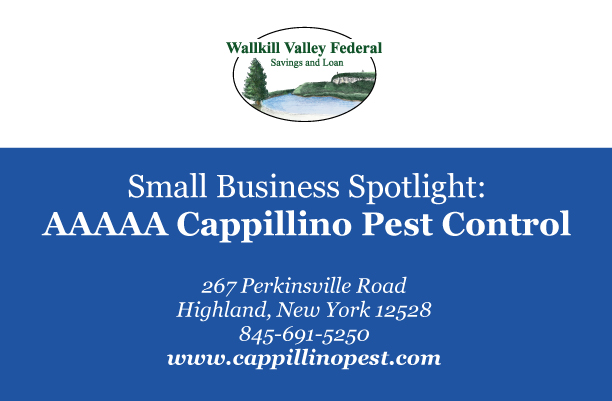 small business spotlight