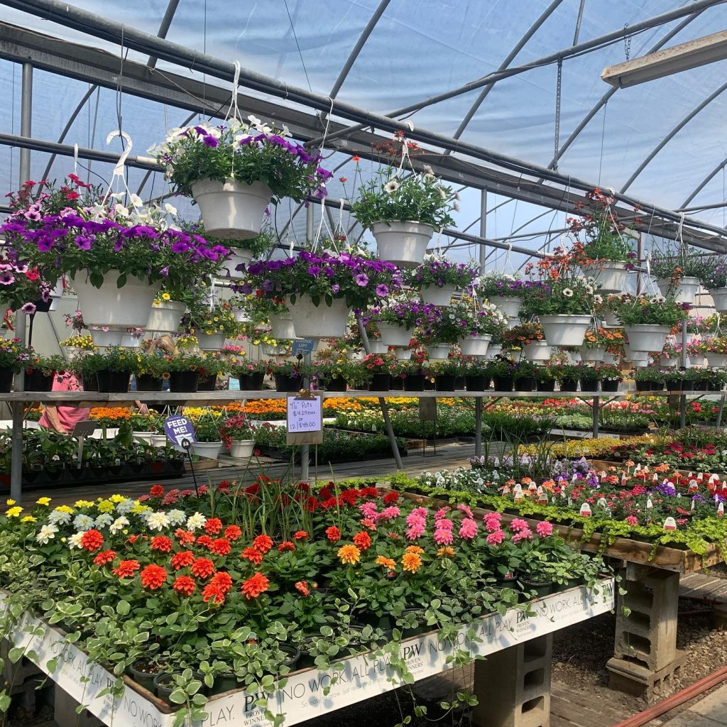 Small Business Spotlight Wallkill Greenhouse Wallkill Valley Federal