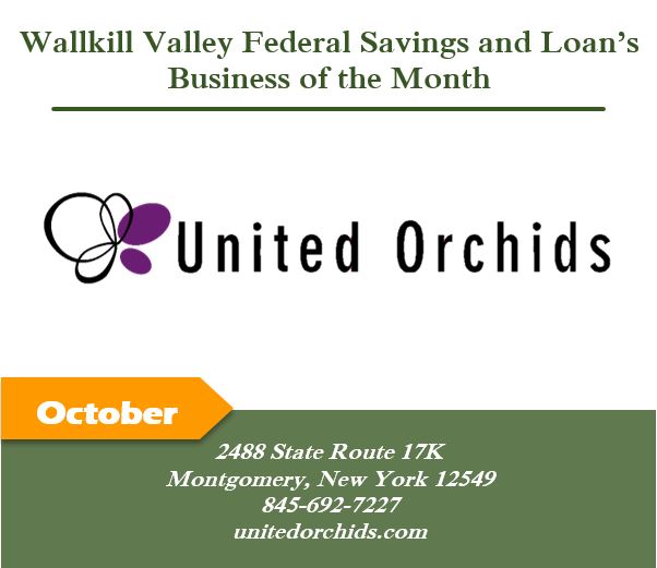 october business of the month united orchids