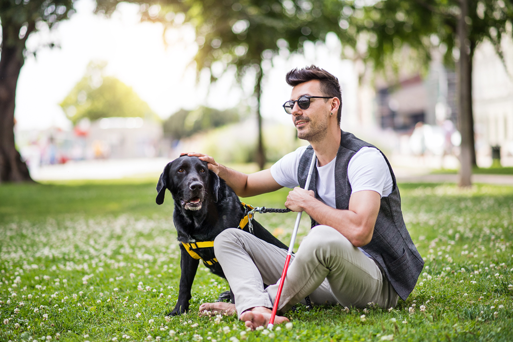 Young man with seeing eye dog