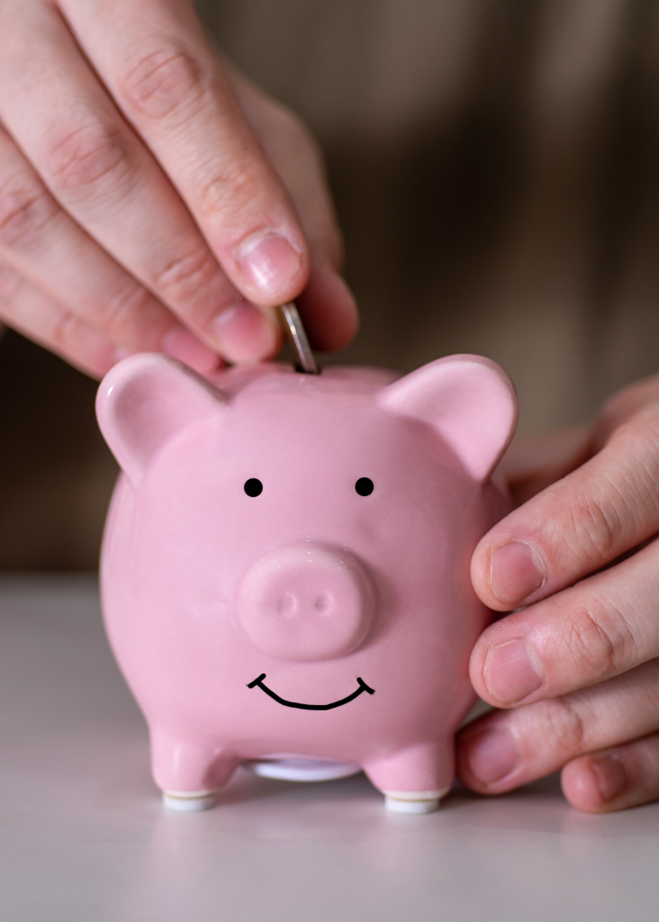 coin in piggy bank